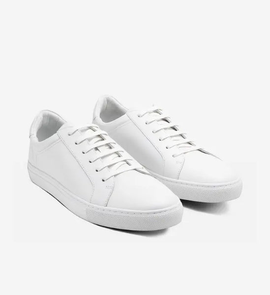 JayWhite2_grande.png?v=1754928717